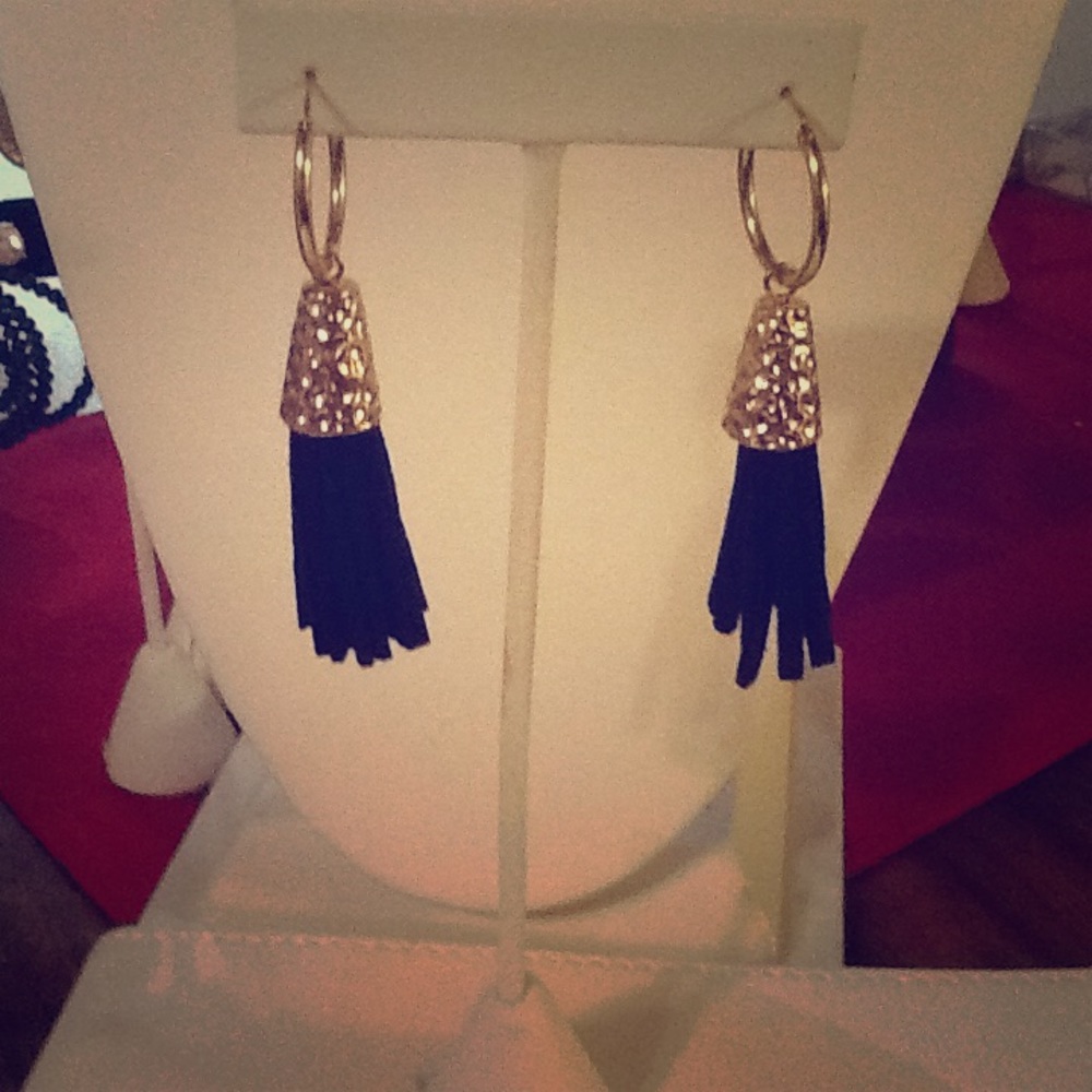 SUEDE TASSEL DROP EARRINGS😍